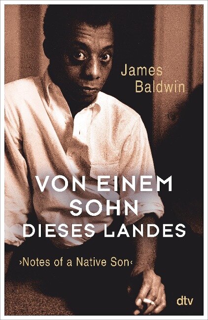 Von einem Sohn dieses Landes - James Baldwin