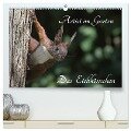 Artist im Garten. Das Eichhörnchen (hochwertiger Premium Wandkalender 2024 DIN A2 quer), Kunstdruck in Hochglanz - Klaus Konieczka