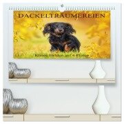 Cover-Bild zum Titel 'Dackelträumereien - Kleine Helden auf 4 Pfoten (hochwertiger Premium Wandkalender 2026 DIN A2 quer), Kunstdruck in Hochglanz' von 'Sigrid Starick'