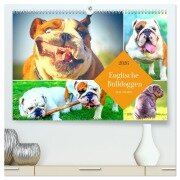 Dicke Freunde. Englische Bulldoggen (hochwertiger Premium Wandkalender 2026 DIN A2 quer), Kunstdruck in Hochglanz - Rose Hurley