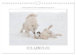 Cover-Bild zum Titel 'Emotionale Momente: Polarwölfe. / CH-Version (Wandkalender 2026 DIN A4 quer), CALVENDO Monatskalender' von 'Ingo Gerlach GDT'