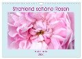 Strahlend schöne Rosen (Wandkalender 2024 DIN A4 quer), CALVENDO Monatskalender - Gisela Kruse