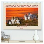 Hütehund der Shetland Inseln - Shetland Sheepdog (hochwertiger Premium Wandkalender 2026 DIN A2 quer), Kunstdruck in Hochglanz - Sigrid Starick