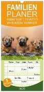Familienplaner 2025 - IRISH SOFT COATED WHEATEN TERRIER mit 5 Spalten (Wandkalender, 21 x 45 cm) CALVENDO - Annett Mirsberger Www. Tierpfoto. De