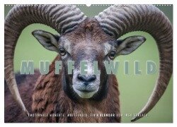 Emotionale Momente: Muffelwild. (Wandkalender 2026 DIN A2 quer), CALVENDO Monatskalender - Ingo Gerlach
