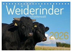 Weiderinder im Frankenwald (Tischkalender 2026 DIN A5 quer), CALVENDO Monatskalender - Cordula Kelle-Dingel