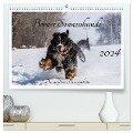 Berner Sennenhunde - Die sanften Powerpakete (hochwertiger Premium Wandkalender 2024 DIN A2 quer), Kunstdruck in Hochglanz - Jana K. Fotografie