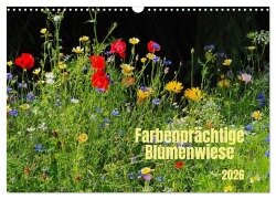 Cover-Bild zum Titel 'Farbenprächtige Blumenwiese (Wandkalender 2026 DIN A3 quer), CALVENDO Monatskalender' von 'Thilo Seidel'