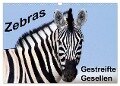 Zebras - Gestreifte Gesellen (Wandkalender 2024 DIN A3 quer), CALVENDO Monatskalender - Angelika Stern