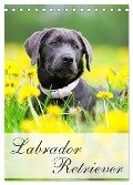 Labrador Retriever (Tischkalender 2024 DIN A5 hoch), CALVENDO Monatskalender - Nicole Noack