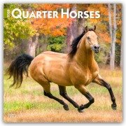 Cover-Bild zum Titel 'Quarter Horses - Quarter Horse 2026 - 16-Monatskalender' von 'Browntrout Publishers'