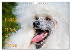 Pudel - Glück auf vier Pfoten (Wandkalender 2025 DIN A4 quer), CALVENDO Monatskalender - Sigrid Starick