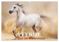Pferde ¿ Araber im Wüstensand (Wandkalender 2025 DIN A2 quer), CALVENDO Monatskalender - Elisabeth Stanzer