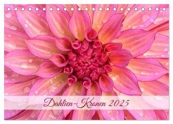 Dahlien-Kronen (Tischkalender 2025 DIN A5 quer), CALVENDO Monatskalender - Rainer Plett
