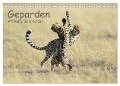 Geparden - Afrikas grazile Katzen (Tischkalender 2024 DIN A5 quer), CALVENDO Monatskalender - Thorsten Jürs