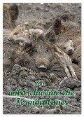 Der wildschweinische Terminplaner (Wandkalender 2024 DIN A2 hoch), CALVENDO Monatskalender - Antje Lindert-Rottke