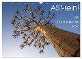 Astrein! - Der Baumkalender 2024 (Wandkalender 2024 DIN A3 quer), CALVENDO Monatskalender - Irma van der Wiel