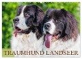Traumhund Landseer (Wandkalender 2024 DIN A2 quer), CALVENDO Monatskalender - Sigrid Starick