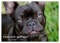 Französische Bulldoggen - Schutzengel auf 4 Pfoten (Wandkalender 2024 DIN A3 quer), CALVENDO Monatskalender - Kerstin Grüttner