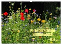 Cover-Bild zum Titel 'Farbenprächtige Blumenwiese (Wandkalender 2026 DIN A2 quer), CALVENDO Monatskalender' von 'Thilo Seidel'