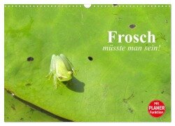 Frosch müsste man sein! (Wandkalender 2025 DIN A3 quer), CALVENDO Monatskalender - Elisabeth Stanzer