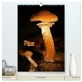 Pilze (hochwertiger Premium Wandkalender 2025 DIN A2 hoch), Kunstdruck in Hochglanz - Martina Berg