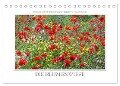 Emotionale Momente: Die Blumenwiese. (Tischkalender 2024 DIN A5 quer), CALVENDO Monatskalender - Ingo Gerlach GDT