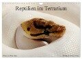 REPTILIEN IM TERRARIUM (Wandkalender 2024 DIN A4 quer), CALVENDO Monatskalender - Benny Trapp