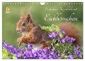 Besondere Augenblicke mit Eichhörnchen (Wandkalender 2024 DIN A4 quer), CALVENDO Monatskalender - Tine Meier