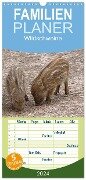 Familienplaner 2024 - Wildschweine mit 5 Spalten (Wandkalender, 21 x 45 cm) CALVENDO - Martina Berg