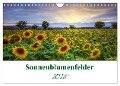 Sonnenblumenfelder (Wandkalender 2025 DIN A4 quer), CALVENDO Monatskalender - Gierok, Steffen Magic Artist Design