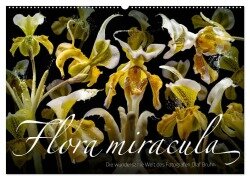 Flora miracula - Die wundersame Welt des Fotografen Olaf Bruhn (Wandkalender 2026 DIN A2 quer), CALVENDO Monatskalender - Olaf Bruhn