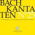 Kantaten Noø25 - Rudolf J. S. Bach-Stiftung/Lutz