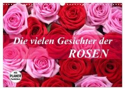 Die vielen Gesichter der Rosen (Wandkalender 2025 DIN A3 quer), CALVENDO Monatskalender - Gisela Kruse