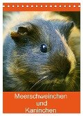 Meerschweinchen und Kaninchen Familienplaner (Tischkalender 2024 DIN A5 hoch), CALVENDO Monatskalender - Kattobello Kattobello