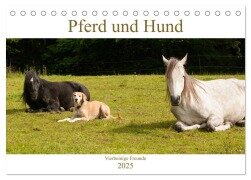 Pferd und Hund - Vierbeinige Freunde (Tischkalender 2025 DIN A5 quer), CALVENDO Monatskalender - Meike Bölts