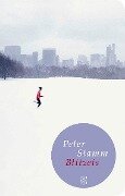 Blitzeis - Peter Stamm