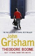 Theodore Boone - John Grisham