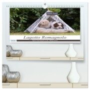 Lagotto Romagnolo - Spiel und Spaß in der Welpenzeit (hochwertiger Premium Wandkalender 2026 DIN A2 quer), Kunstdruck in Hochglanz - Sonja Teßen