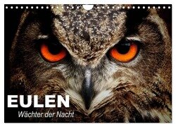 Eulen. Wächter der Nacht (Wandkalender 2025 DIN A4 quer), CALVENDO Monatskalender - Elisabeth Stanzer