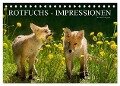 Rotfuchs - Impressionen (Tischkalender 2024 DIN A5 quer), CALVENDO Monatskalender - Susanne Danegger