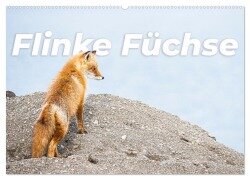 Flinke Füchse (Wandkalender 2026 DIN A2 quer), CALVENDO Monatskalender - Happy Monkey