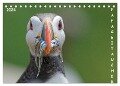 Papageitaucher (Tischkalender 2024 DIN A5 quer), CALVENDO Monatskalender - Gerald Wolf