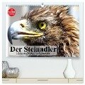 Der Steinadler. Majestätischer Greifvogel (hochwertiger Premium Wandkalender 2024 DIN A2 quer), Kunstdruck in Hochglanz - Elisabeth Stanzer