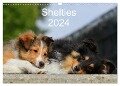 Shelties 2024 (Wandkalender 2024 DIN A3 quer), CALVENDO Monatskalender - Marion Reiß - Seibert