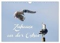 Zuhause an der Ostsee (Wandkalender 2024 DIN A4 quer), CALVENDO Monatskalender - Heike Hultsch