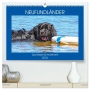 Cover-Bild zum Titel 'Neufundländer - Das Wasser ist ihr Element (hochwertiger Premium Wandkalender 2026 DIN A2 quer), Kunstdruck in Hochglanz' von 'Sigrid Starick'