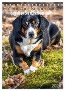 Cover-Bild zum Titel 'Entlebucher Sennenhunde begleiten Sie durch das Jahr (Tischkalender 2026 DIN A5 hoch), CALVENDO Monatskalender' von 'SchnelleWelten SchnelleWelten'