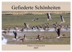 Gefiederte Schönheiten - Wildgänse in Norddeutschland (Tischkalender 2025 DIN A5 quer), CALVENDO Monatskalender - Rolf Pötsch