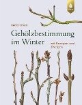 Gehölzbestimmung im Winter - Bernd Schulz